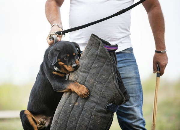 How can proper wheel bearing maintenance prevent potential accidents in commercial trucks?