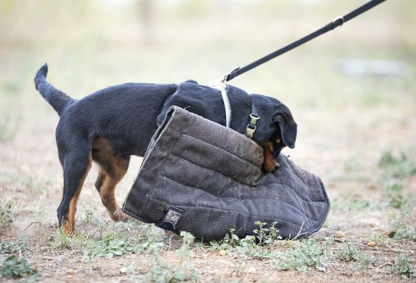 What are the steps to properly set up a fire extinguisher in a commercial vehicle for quick access?